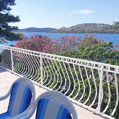 Galeb *