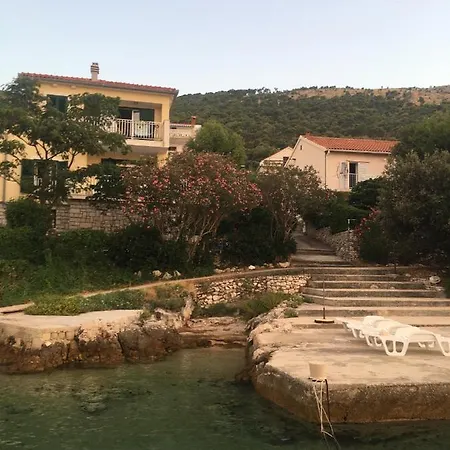 Galeb