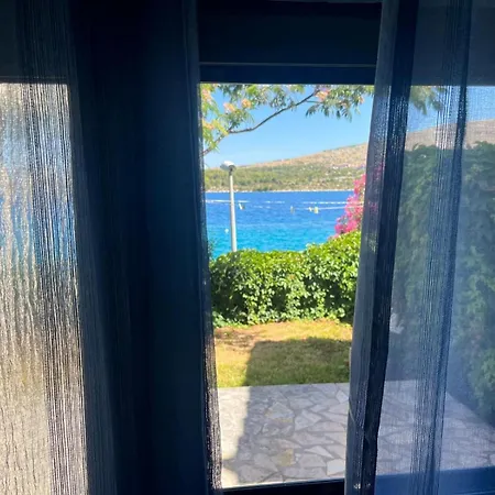Galeb *